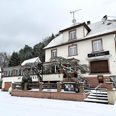 Au Wachtfels Bed & Breakfast Obersteinbach Eksteriør bilde