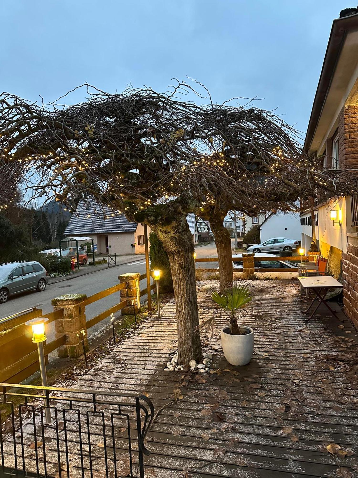 Au Wachtfels Bed & Breakfast Obersteinbach Eksteriør bilde